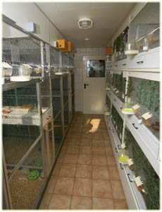 Zuchtanlage f�r Nonnen