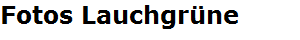 Fotos Lauchgr�ne